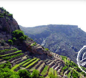 Wadi Shab & Bimmah Sinkhole